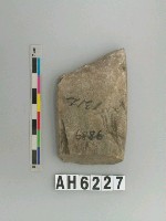 藏品(磨製石錛)的圖片